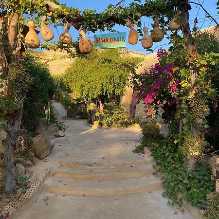 Mountain Camp Ali Khaled Hotel Siwa Oasis ภายนอก รูปภาพ