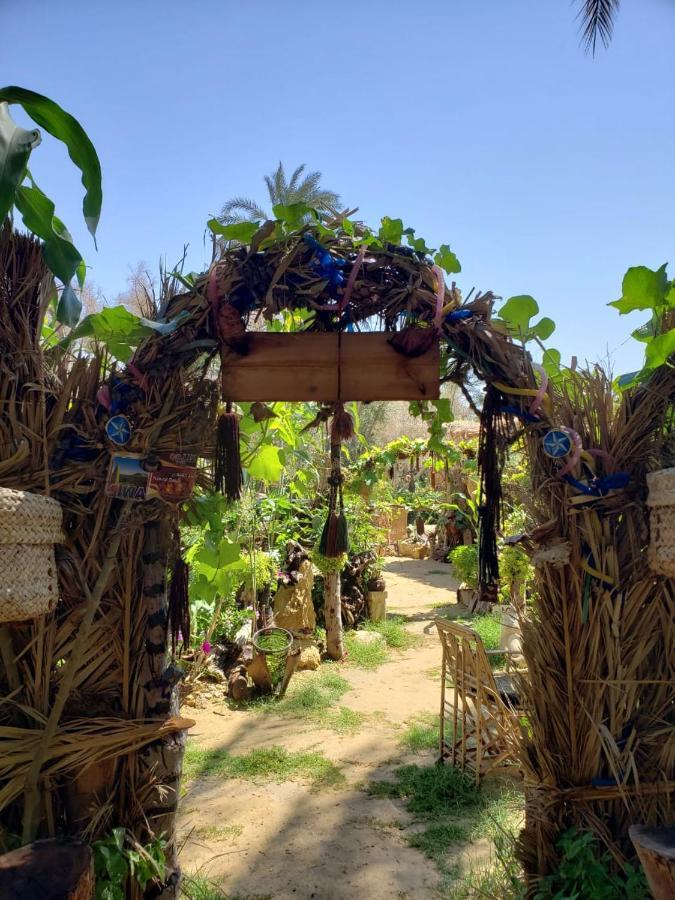 Mountain Camp Ali Khaled Hotel Siwa Oasis ภายนอก รูปภาพ