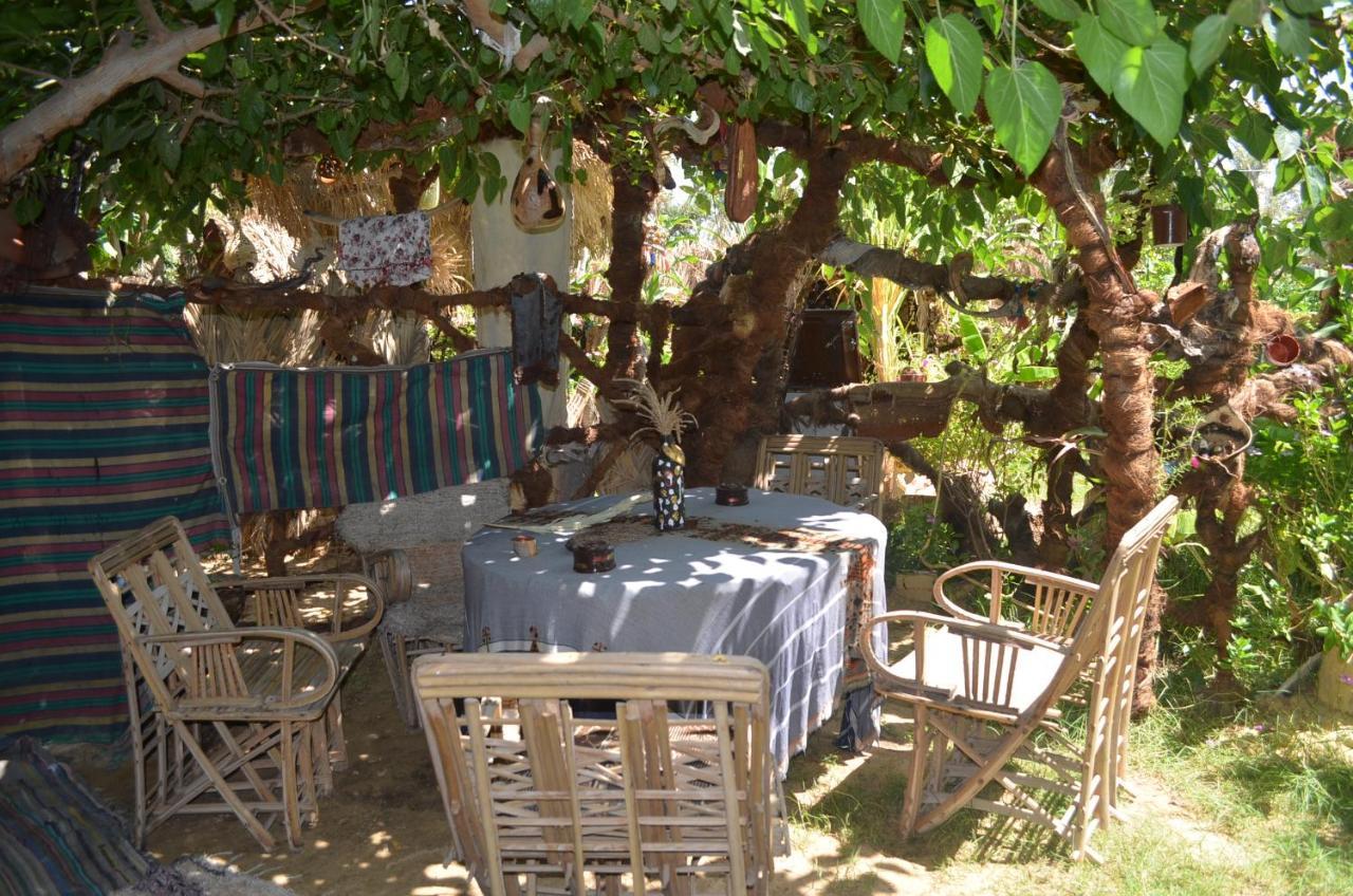 Mountain Camp Ali Khaled Hotel Siwa Oasis ภายนอก รูปภาพ