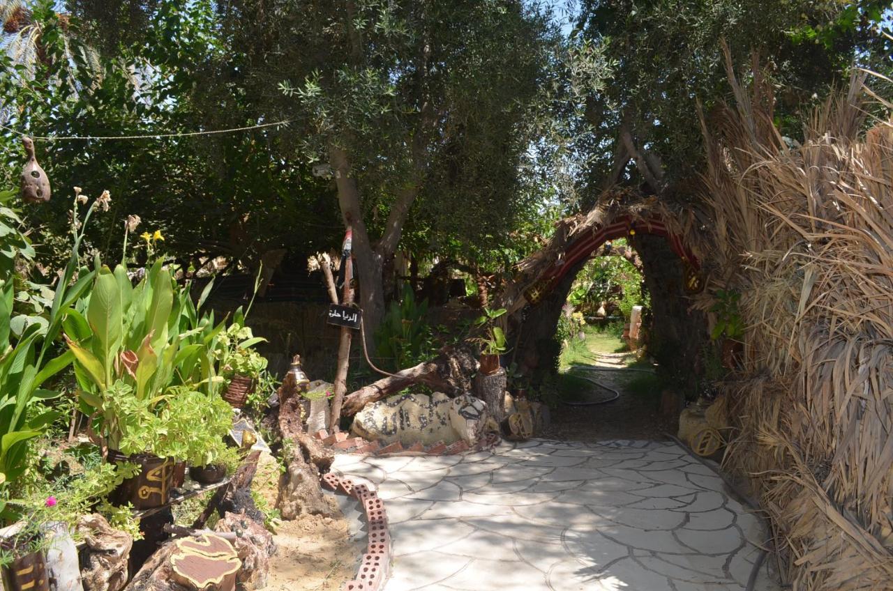 Mountain Camp Ali Khaled Hotel Siwa Oasis ภายนอก รูปภาพ