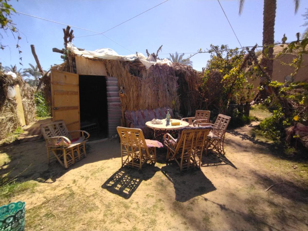 Mountain Camp Ali Khaled Hotel Siwa Oasis ภายนอก รูปภาพ