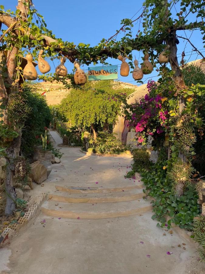Mountain Camp Ali Khaled Hotel Siwa Oasis ภายนอก รูปภาพ